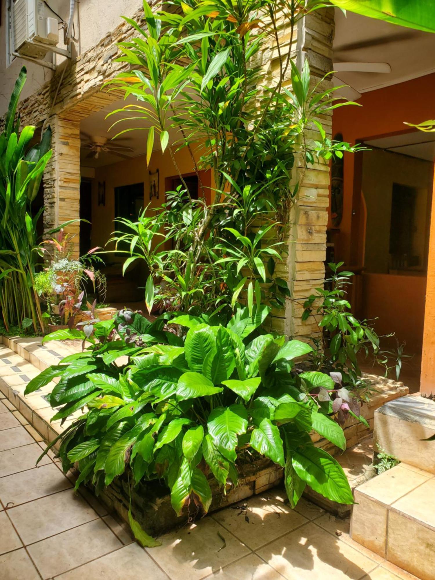 Hotel Villa Prats Manuel Antonio Buitenkant foto